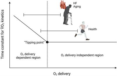 Matching of O2 Utilization and O2 Delivery in Contracting Skeletal Muscle in Health, Aging, and Heart Failure